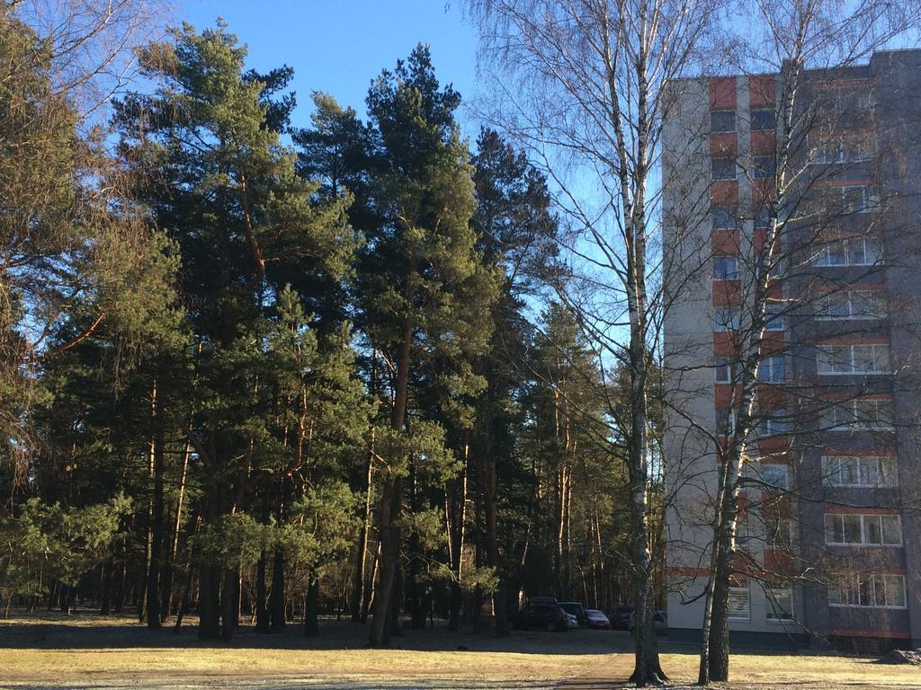 Angel Apartment Друскининкай Екстериор снимка